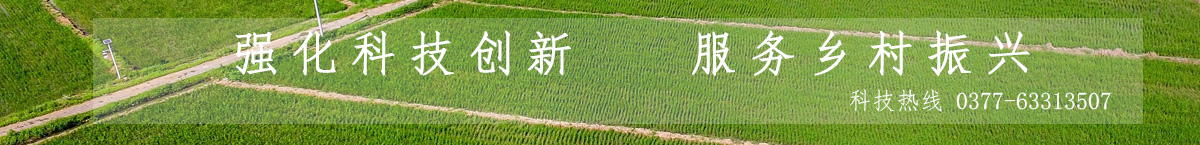 南阳市农业科学院